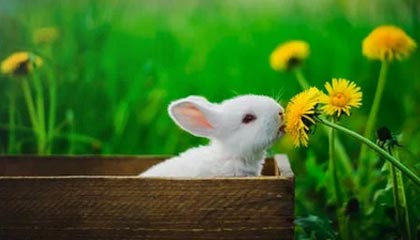 开云体育app入口-英超冲刺季：悬念持续升温，魅力无限！，英超集锦2021